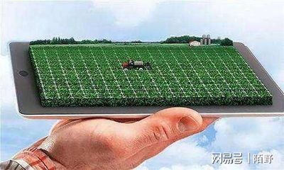 鄉(xiāng)村振興背景下數(shù)字農業(yè)發(fā)展趨勢與實踐策略探析——聚焦智能農業(yè)管理