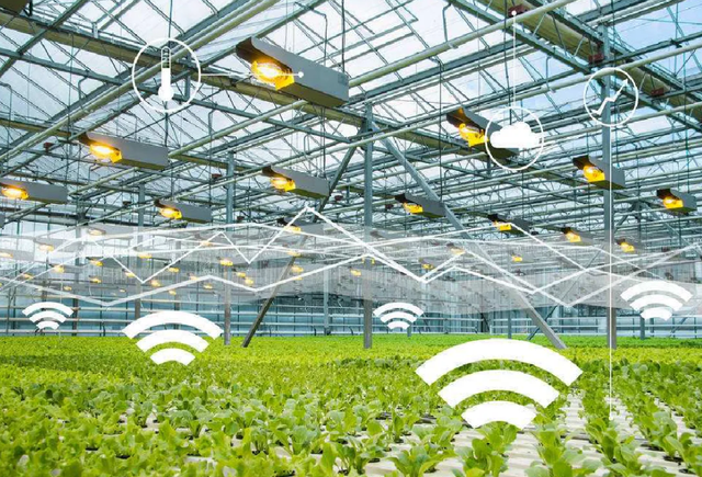 智能農業(yè)管理下物聯(lián)卡的應用場景與功能特色